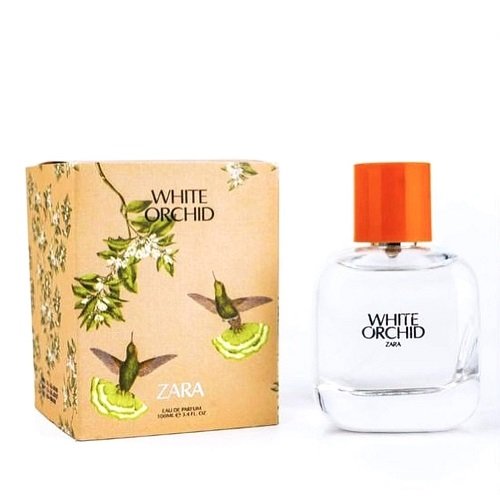 ZARA WHITE ORCHID